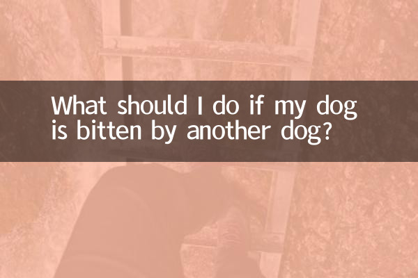 Что делать, если мою собаку укусила другая собака?