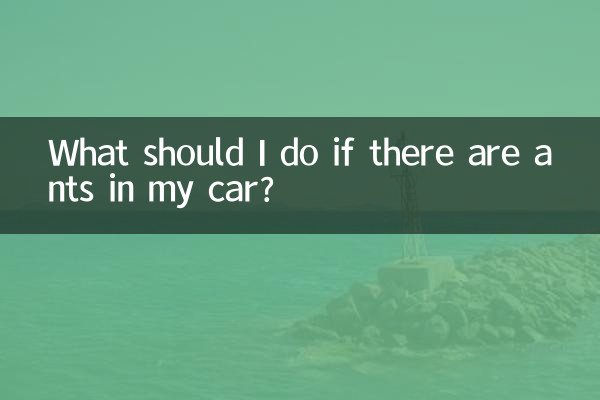 در صورت وجود مورچه در ماشین من چه باید بکنم؟