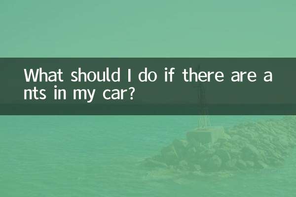 Что делать, если в моей машине появились муравьи?