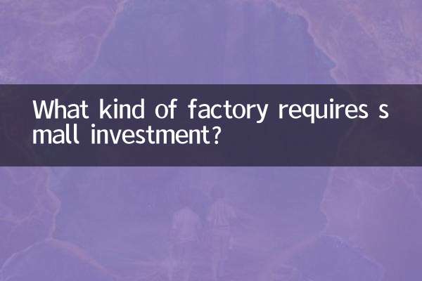 开什么厂投资小