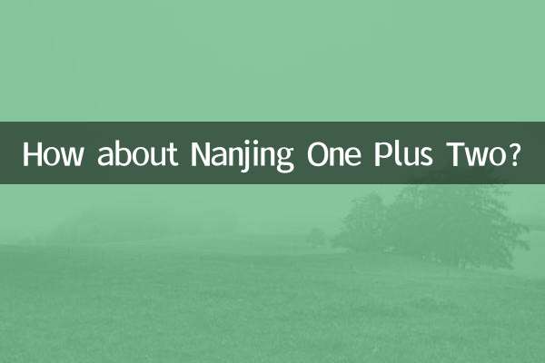 Che ne dici di Nanchino One Plus Two?