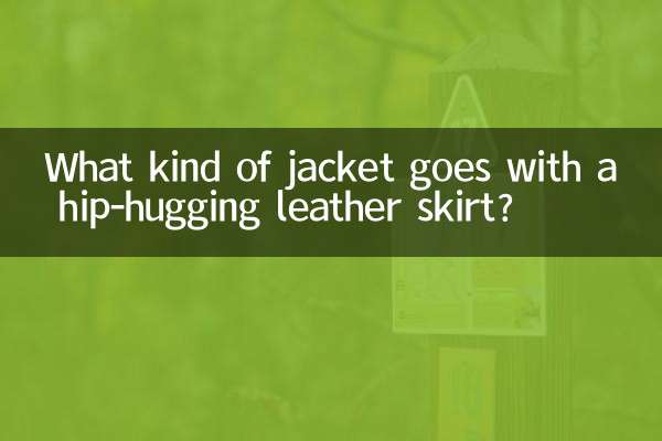 چه نوع ژاکتی با یک دامن چرمی بغل می شود؟