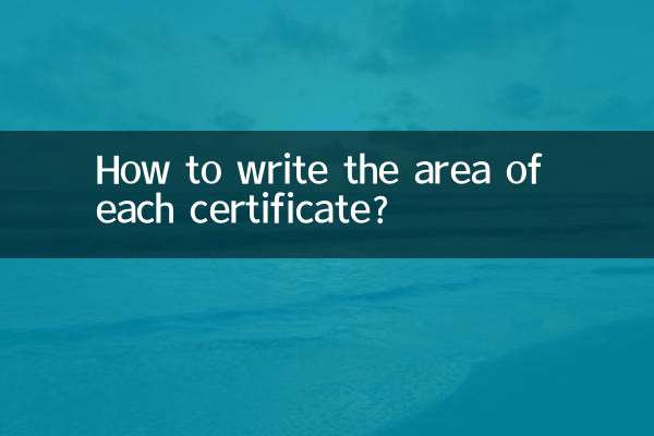 প্রতিটি সার্টিফিকেটের ক্ষেত্রফল কিভাবে লিখবেন?
