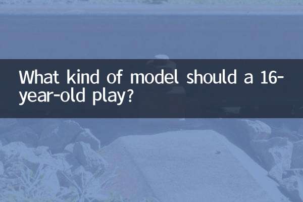 16歲玩什麼模型