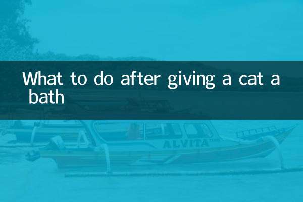 Was tun, nachdem man eine Katze gebadet hat?
