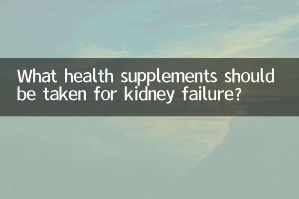 신부전에는 어떤 건강보조식품을 섭취해야 합니까?