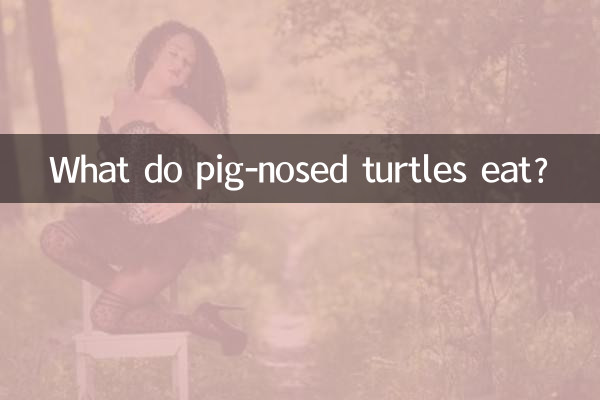 豬鼻子龜吃什麼