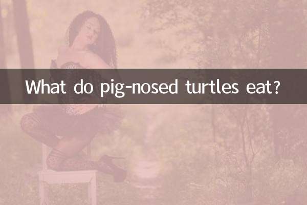 শূকর-নাকযুক্ত কচ্ছপরা কী খায়?