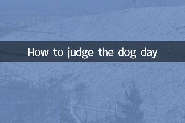 Como julgar o dia do cachorro