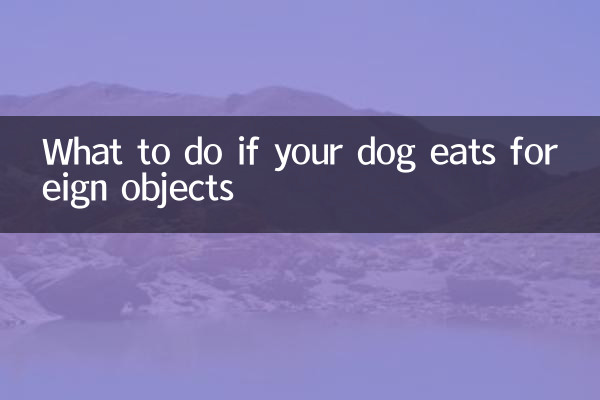 Que faire si votre chien mange des objets étrangers