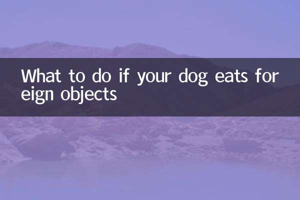 Que faire si votre chien mange des objets étrangers