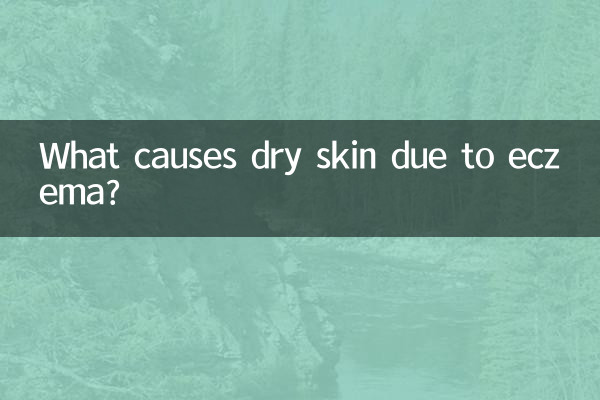What causes dry skin due to eczema?