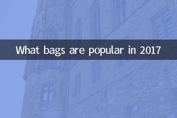 What bags are popular in 2017