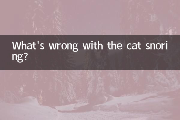 What's wrong with the cat snoring?
