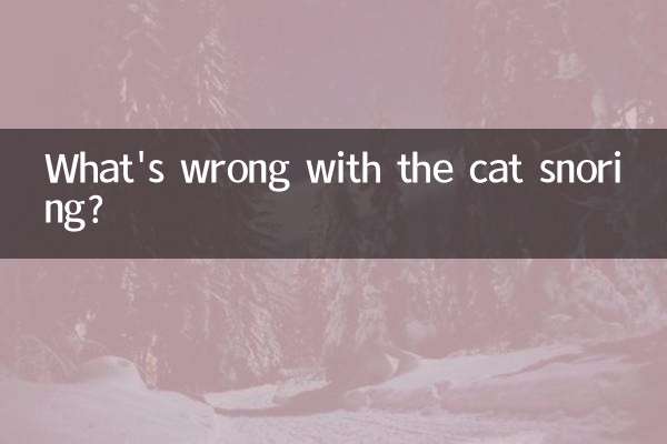 What's wrong with the cat snoring?