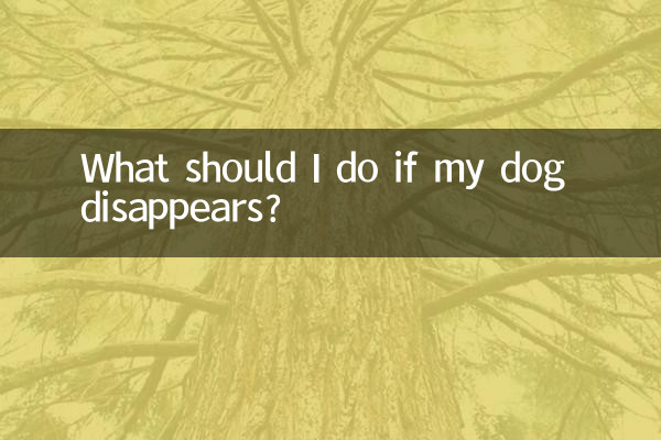 What should I do if my dog disappears?
