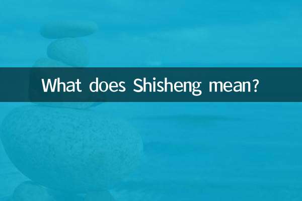 Cosa significa Shisheng?