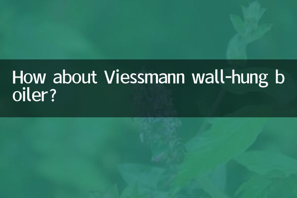 菲斯曼壁掛爐怎麼樣