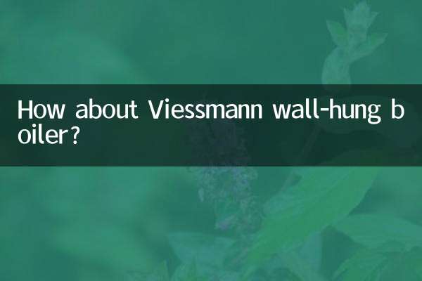Viessmann 壁掛けボイラーはいかがですか?