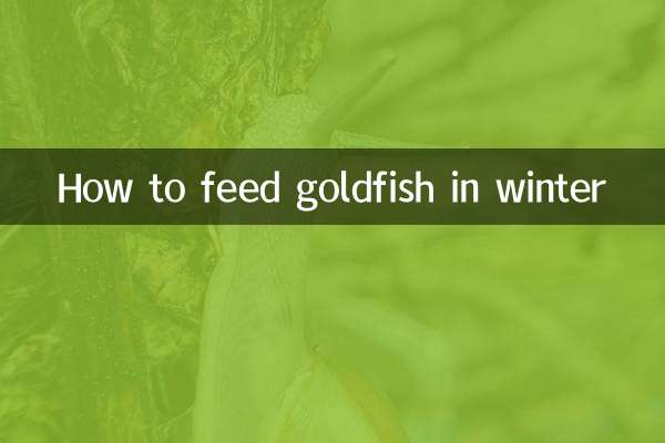 نحوه تغذیه ماهی قرمز در زمستان