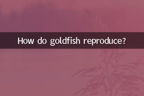 How do goldfish reproduce?