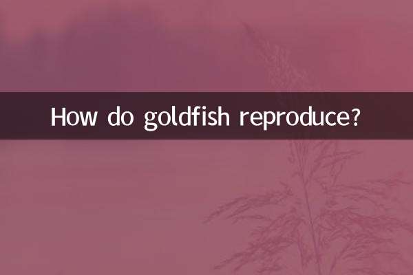 How do goldfish reproduce?