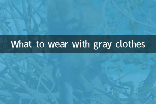 Que porter avec des vêtements gris