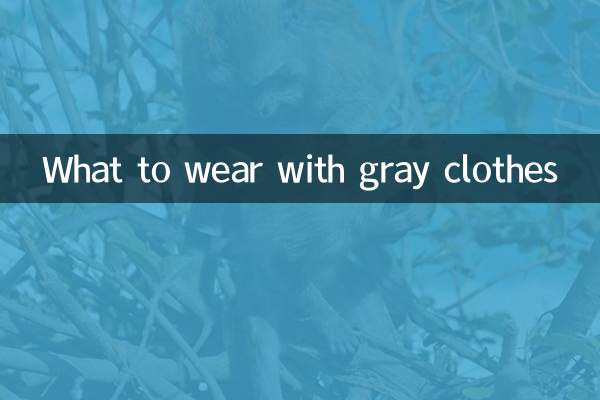 С чем носить серую одежду