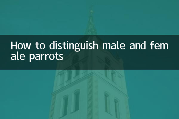 Как отличить попугаев мужского и женского пола