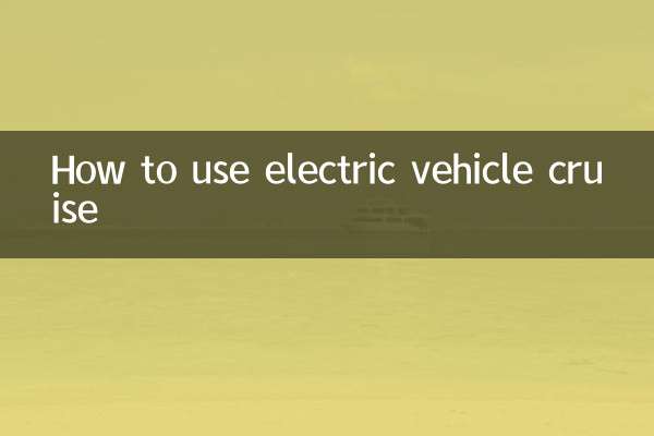 전기차 크루즈 이용방법