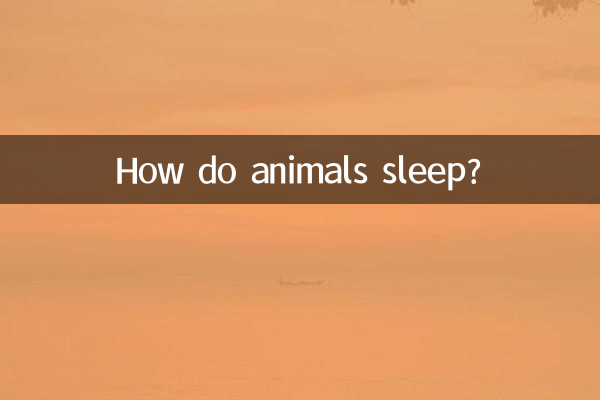 Как спят животные?