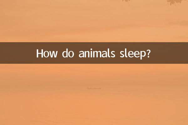 ¿Cómo duermen los animales?