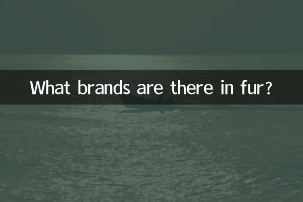 Какие бренды меха существуют?