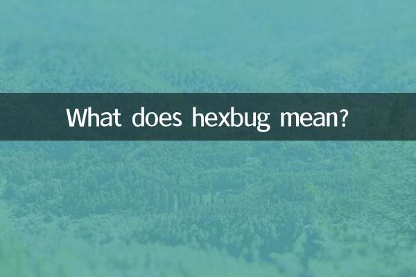 ヘックスバグってどういう意味ですか？