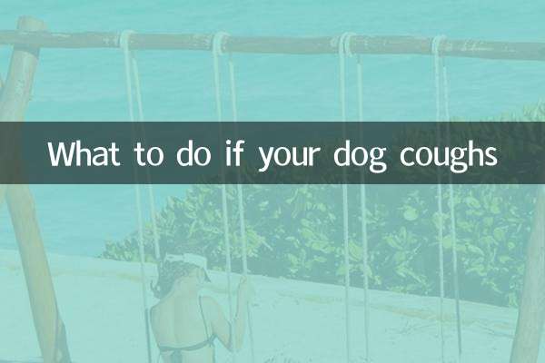 개가 기침을 하면 어떻게 해야 할까요?
