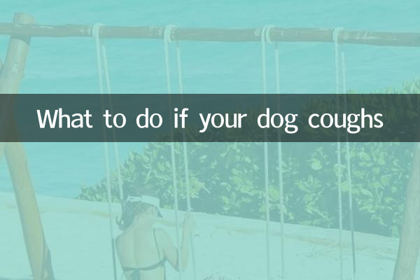 개가 기침을 하면 어떻게 해야 할까요?