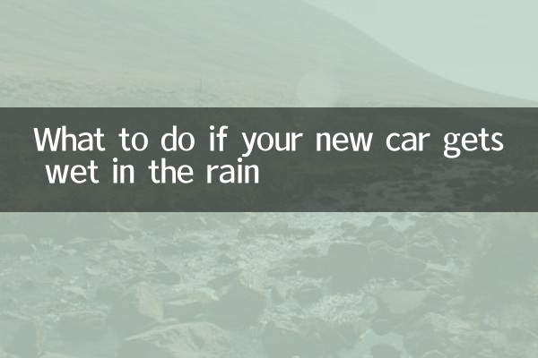 新車が雨に濡れた場合の対処法
