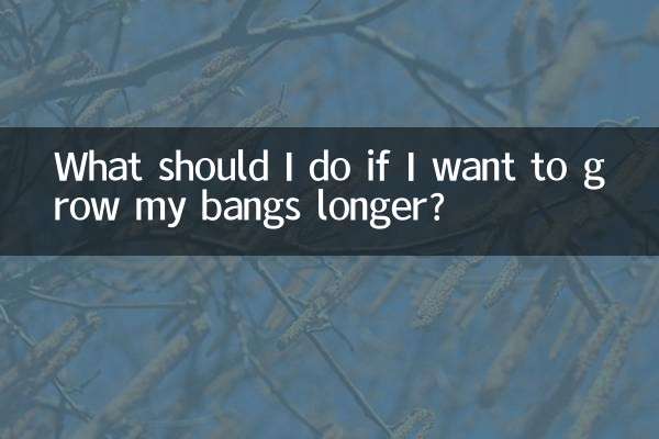 앞머리를 더 길게 기르고 싶다면 어떻게 해야 하나요?