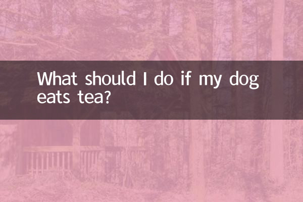 Cosa devo fare se il mio cane mangia il tè?