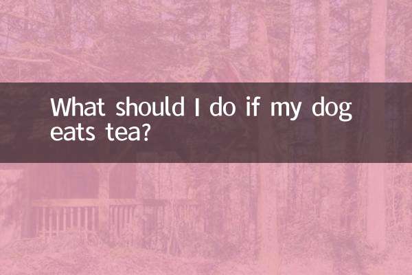 আমার কুকুর চা খায় তাহলে আমার কি করা উচিত?