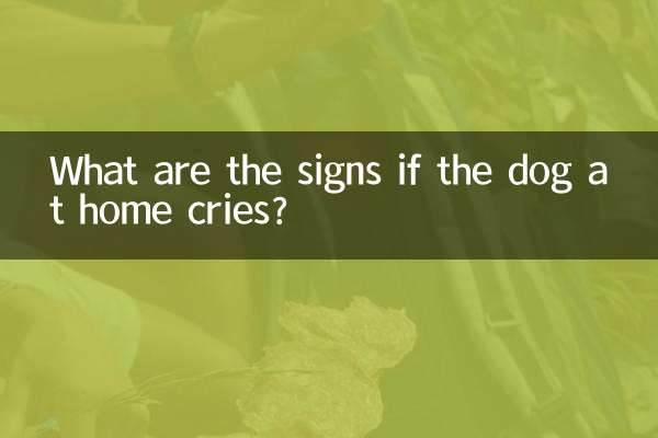 Quais são os sinais se o cachorro em casa chorar?