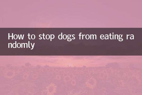 چگونه سگ ها را از خوردن تصادفی منع کنیم؟