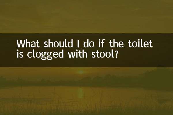 Was soll ich tun, wenn die Toilette durch Stuhl verstopft ist?