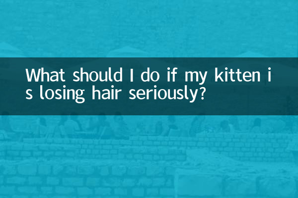 새끼 고양이의 털이 심하게 빠지는 경우 어떻게 해야 합니까?