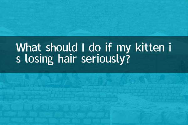 새끼 고양이의 털이 심하게 빠지는 경우 어떻게 해야 합니까?