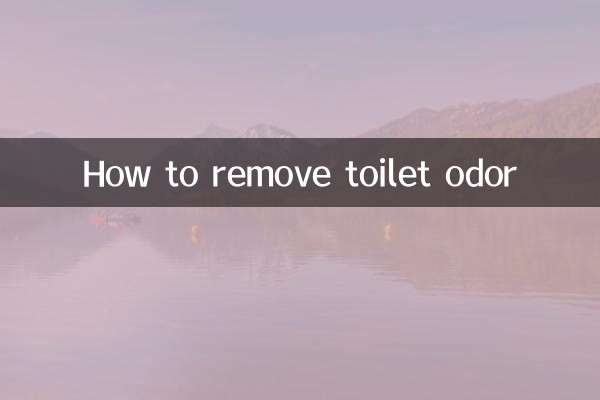 কিভাবে টয়লেটের গন্ধ দূর করবেন