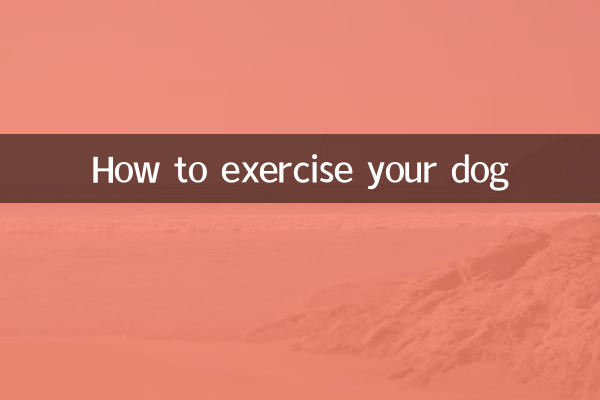 怎麼給狗狗運動