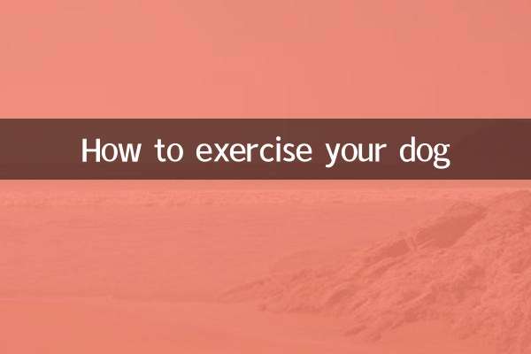 怎麼給狗狗運動