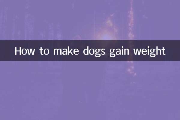 كيفية زيادة وزن الكلاب