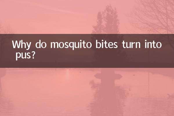 为什么蚊子咬的化脓
